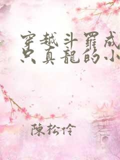 穿越斗罗成为一只真龙的小说