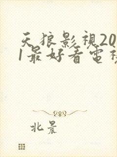 天狼影视2021最好看电视剧排行榜