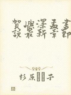 贺屿泽孟书涵小说最新章节免费阅读