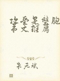 攻受是双胞胎兄弟文推荐