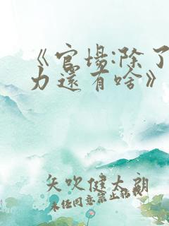 《官场:除了权力还有啥》丁俊丰