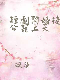 短剧闪婚后被老公宠上天