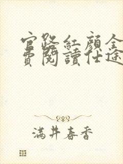 官路红颜全文免费阅读仕途