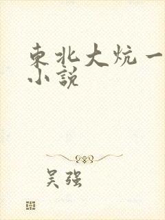东北大炕一家人小说