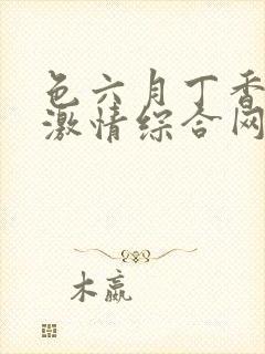 色六月丁香婷婷激情综合网