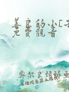 善良的小[子2免费观看