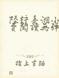 陆柠秦湘小说免费阅读无弹窗