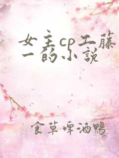 女主cp工藤新一的小说
