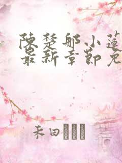 陈楚那小莲小说最新章节免费阅读