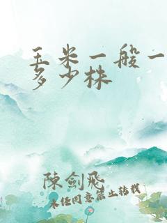 玉米一般一亩地多少株