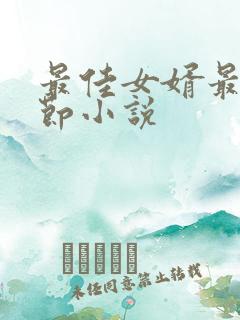 最佳女婿最新章节小说