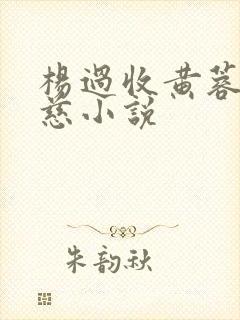 杨过收黄蓉穆念慈小说
