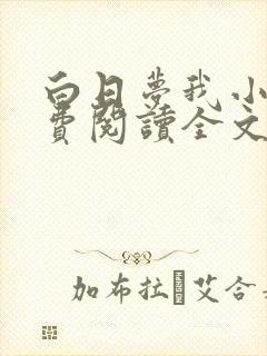 白日梦我小说免费阅读全文无删减