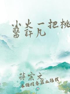 小火一把桃源神医许凡