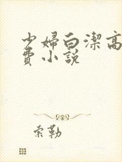 少妇白洁高义免费小说