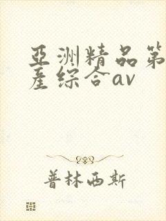 亚洲精品第一国产综合av