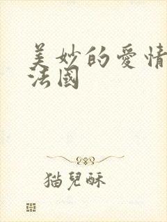 美妙的爱情电影法国