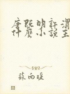 唐既明许渭尘是什么小说主角
