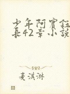 少年阿宾钰慧连长42章小说