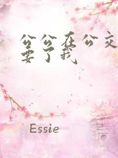 公公在公交车上要了我