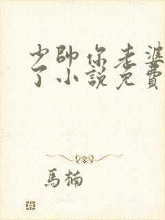 少帅你老婆又跑了小说免费阅读