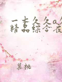 一本久久a久久精品综合夜夜