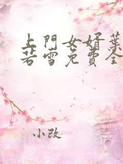 上门女婿叶凡唐若雪免费全文阅读