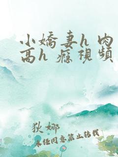 小娇妻h 肉 高h 瘾视频
