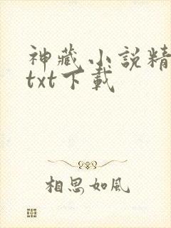 神藏小说精校版txt下载