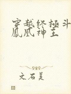 穿越终极斗罗成凤凰神王