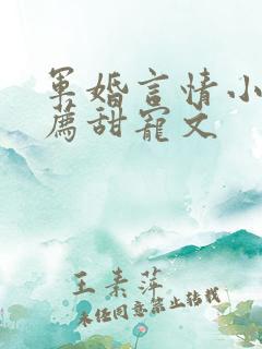 军婚言情小说推荐甜宠文