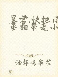 暴君,快把你家丞相带走小说