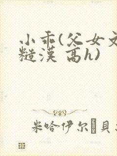 小乖(父女文 糙汉 高h)