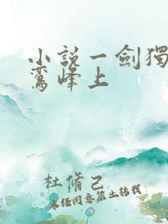 小说一剑独尊青鸾峰上