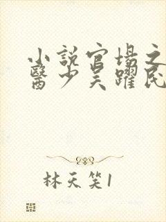 小说官场之风流医少吴跃民在线阅读