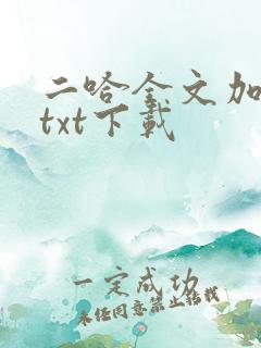 二哈全文加番外txt下载