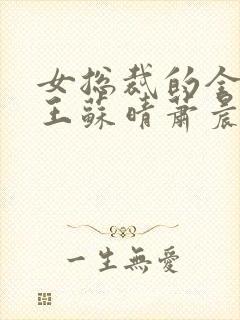 女总裁的全能兵王苏晴萧晨