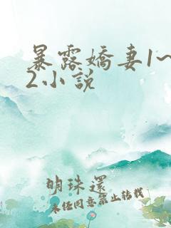 暴露娇妻1~12小说