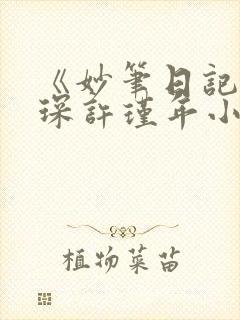 《妙笔日记》何琛许瑾年小说书评