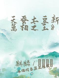 天蚕土豆新书《万相之王》