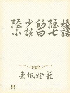 陆少的隐婚罪妻小说白七诺