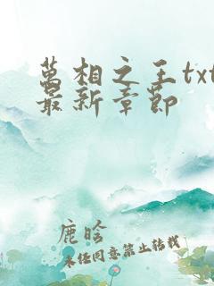 万相之王txt最新章节