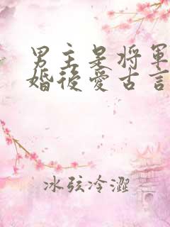 男主是将军的先婚后爱古言