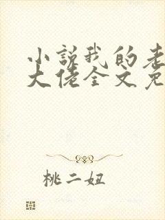 小说我的老公是大佬全文免费阅读