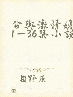 公与激情媳系列1—36集小说