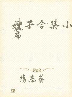 嫂子合集小说全篇