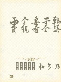 两个妻子韩剧免费观看全集
