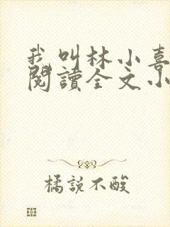 我叫林小喜免费阅读全文小说