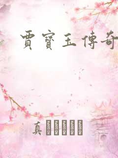 贾宝玉传奇