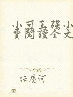 小可王强小说免费阅读全文